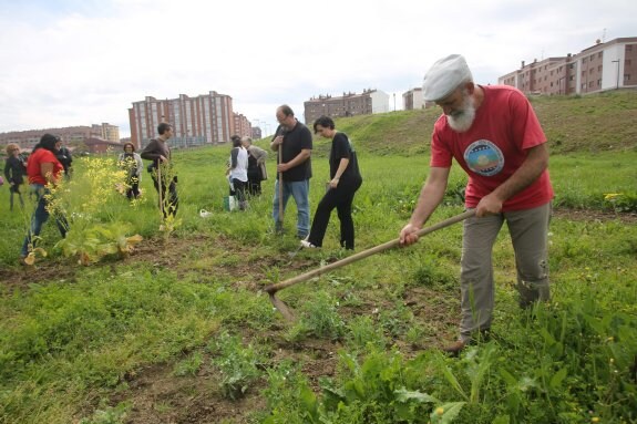 Javier Arjona, en primer plano, trabaja en el huerto. 