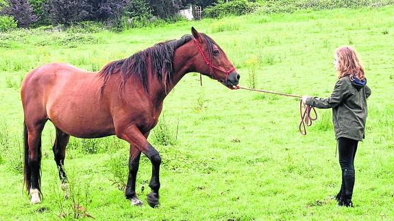 Celia Alcácer pasea a 'Isidoro' en Noreña.