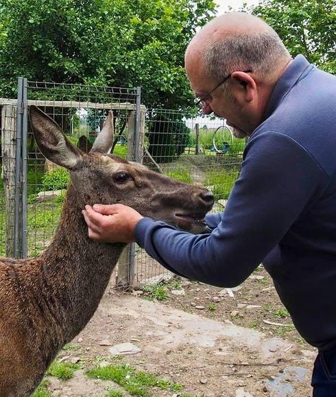 Bambi, la ciervarescatada. 