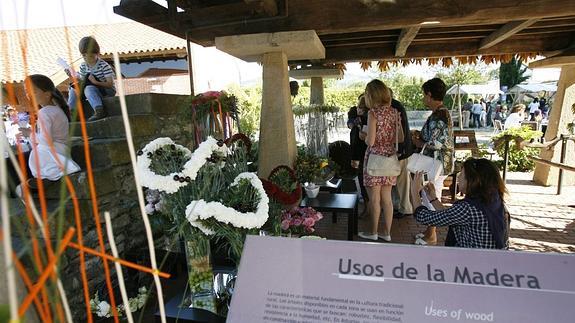 Celebración del solsticio de verano en el Botánico.