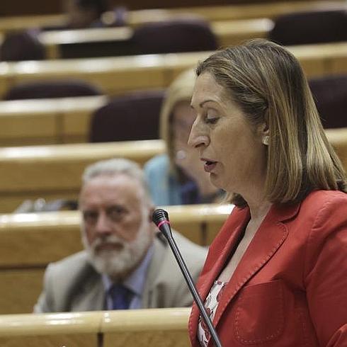 Ana Pastor, durante la sesión de control en el Senado.