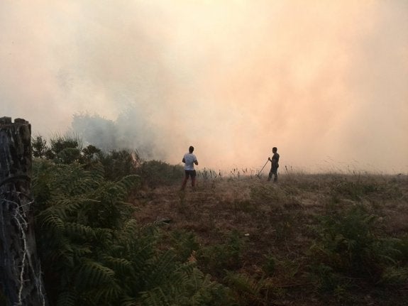 Brigadas trabajando en Santana.
