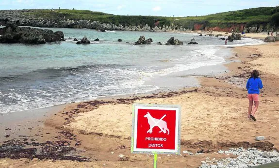 Un cartel colocado en la playa de Toró indica que acceso a la playa con perros está prohibido. 