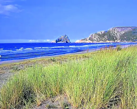 Vista de la Isla de la Deva desde el playón de Bayas.