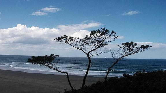 La playa de Barayo.