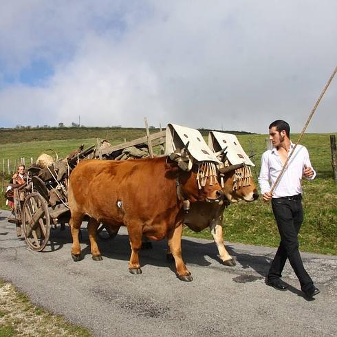 Desfile celebrado en Tineo. 