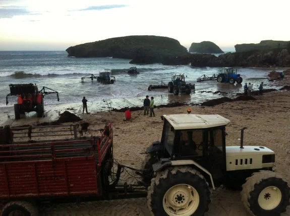 Varios tractores extrayendo ocle de la playa de Barro, en Llanes, durante el pasado fin de semana. 
