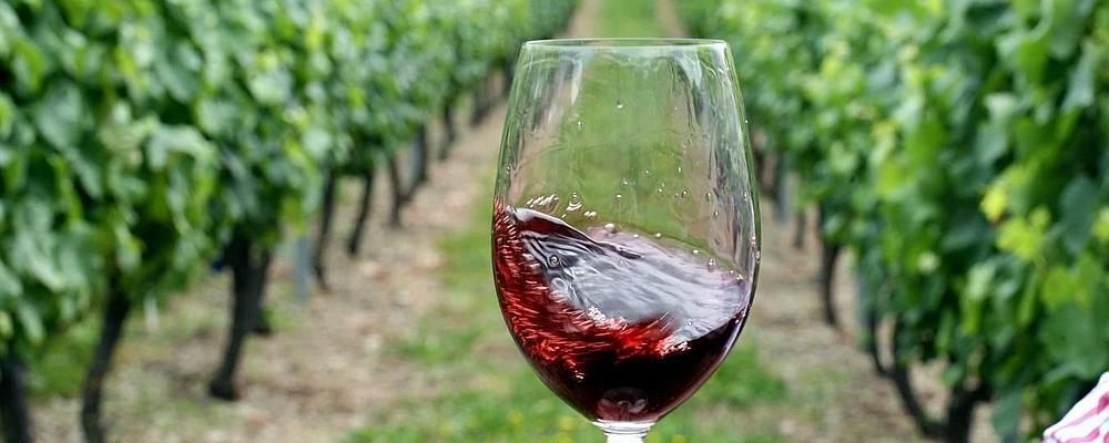 Más vinos en Cangas