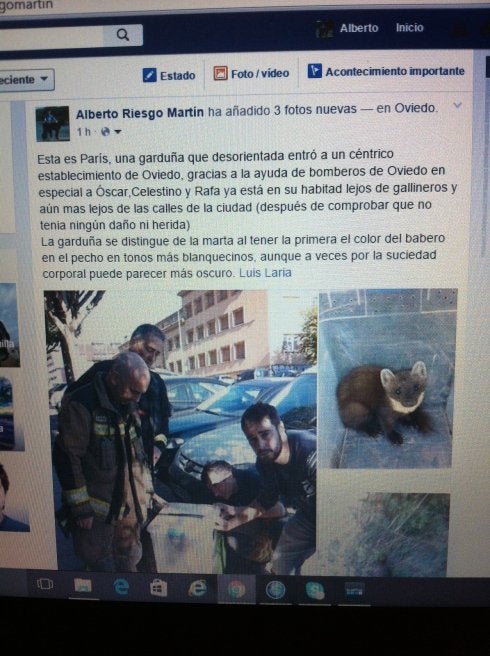 París, tras ser capturada. 