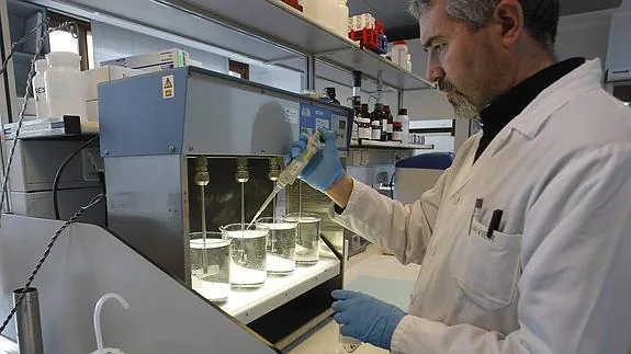 Un operario de la EMA analiza varias muestras de agua en los laboratorios de Roces. 
