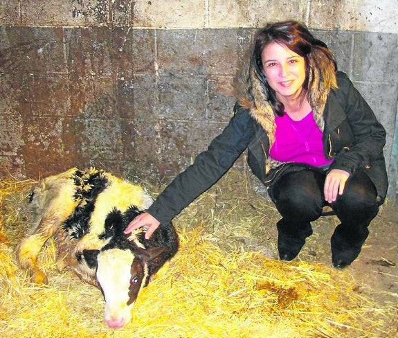 Adriana Lastra, junto a la ternera nacida ayer en la granja El Bolero, y que, en su honor, se llamará Adriana. 