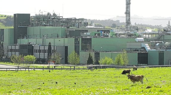 Vista de las instalaciones de Du Pont en Tamón. La empresa tiene 900 empleos directos en Asturias. 