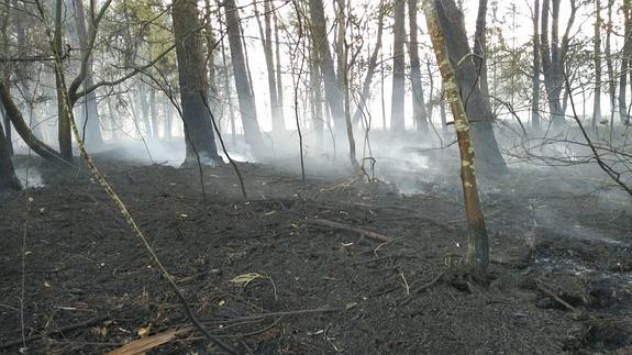 Árboles quemados en Loza (Coaña) por el fuego que cruzó la senda entre Viavélez y Ortiguera.