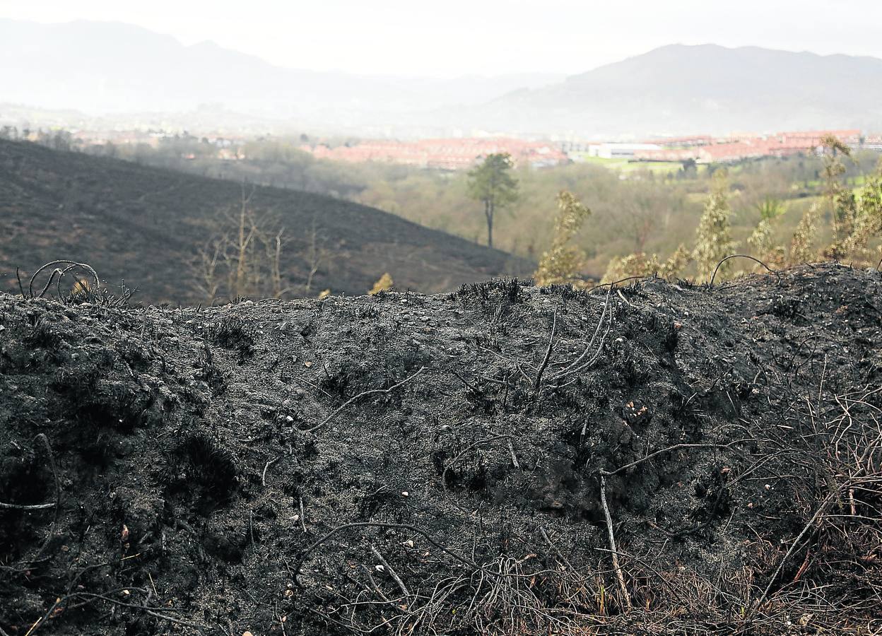 «Esta zona tenía mucha maleza», critican los vecinos de La Fresneda