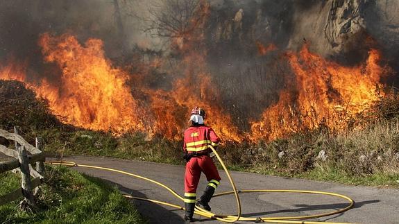 La Fiscalía investiga el origen de la ola de incendios de diciembre y la actuación del Principado