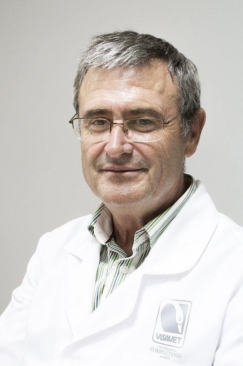 Lucas Domínguez. 