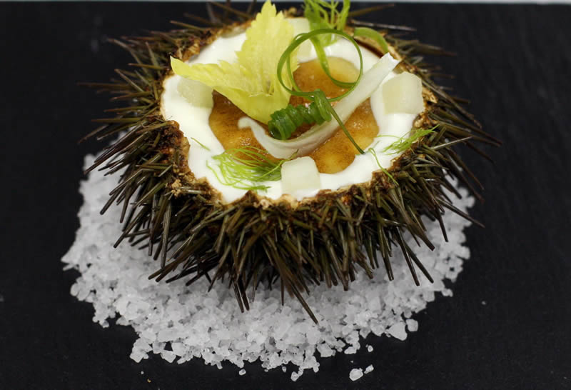 Oricios en salsa holandesa