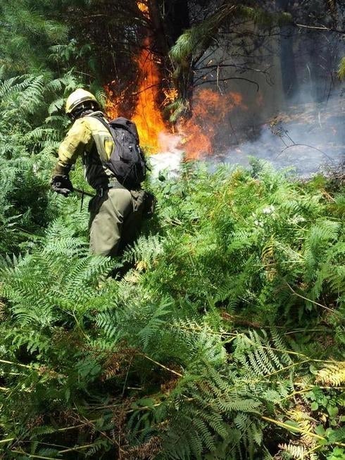 Un bombero, ante un incendio declarado en diciembre. 