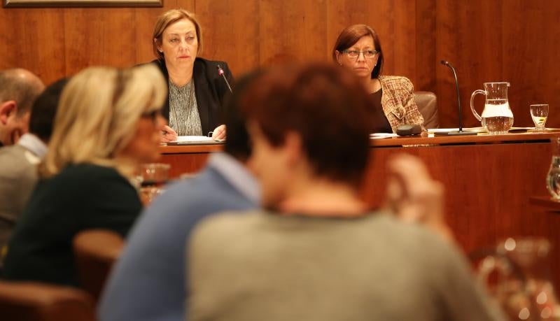 Mariví Monteserín en el pleno de esta mañana.