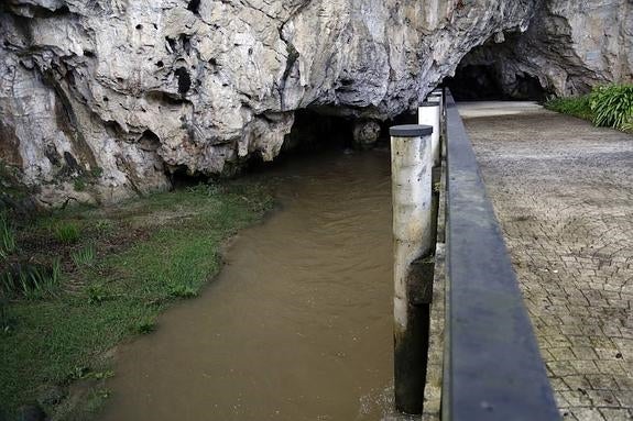 La crecida del río San Miguel, que discurre por el interior de la cueva de Tito Bustillo, inundó esta cavidad y ha obligado a suspender las visitas. 