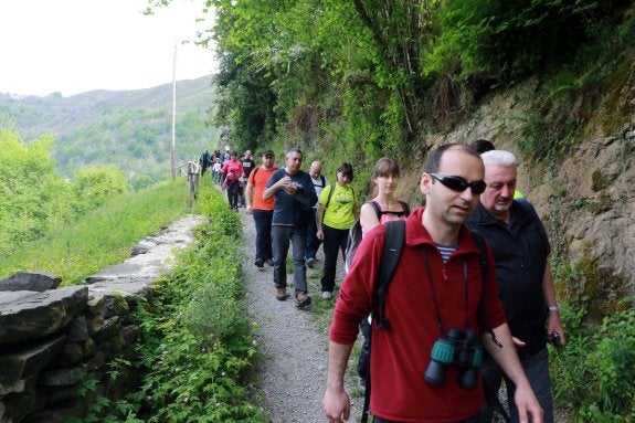 Algunos de los participantes en la marcha hasta la cascada de Xurbeo. 