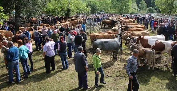 En una jornada espléndida de sol, a la feriona de Corao llegaron cerca de 10.000 personas y más de 3.000 cabezas de ganado, de las que se vendió el 80%. 