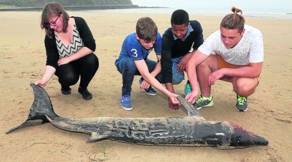 Varios jóvenes observan el cetáceo que apareció varado ayer en la playa de Santa Marina. 