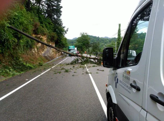 La caída de un árbol corta la N-634 en Arobes 35 minutos