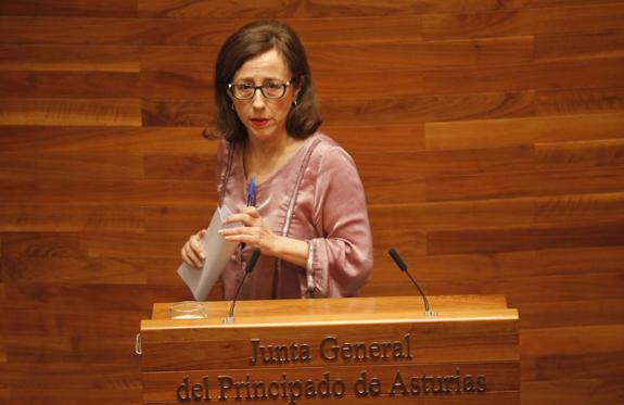 La consejera Belén Fernández, en la Junta.