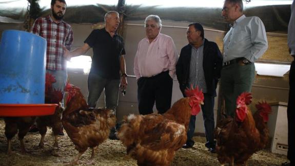 Inaugurado en Morcín el primer matadero industrial de pitos de caleya