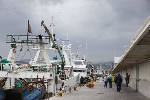 Actividad en el muelle pesquero de Avilés, con varios buques atracados a la espera de terminar la descarga de las capturas o de completar los preparativos para  hacerse de nuevo a la mar. 