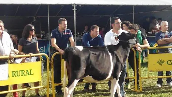 Daniel Trivín Tuero, a la derecha y de camiseta blanca, en una feria de ganado. 