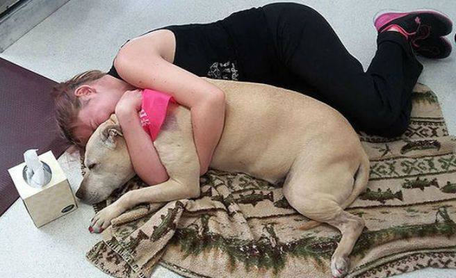 La dramática foto de la mujer que abraza a su perro antes de morir