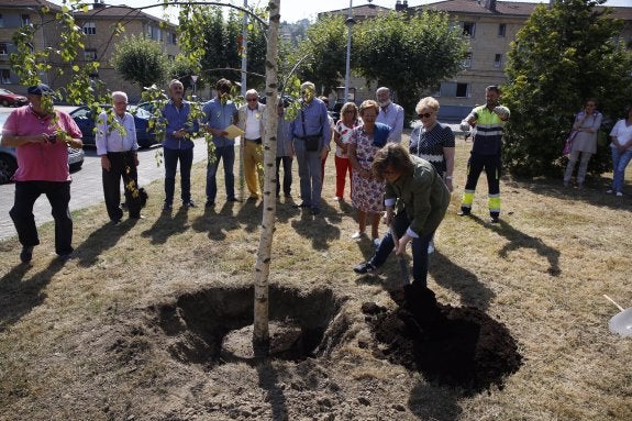 La arquitecta María Antuña, plantando el árbol de Finlandia. :: ROMÁN