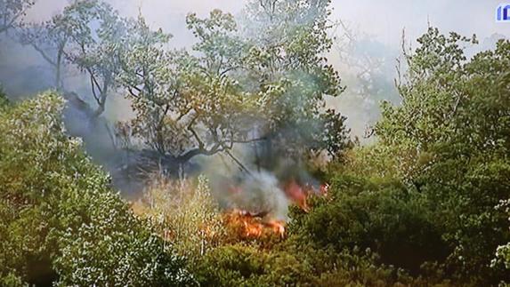 Controlado el incendio forestal de Cangas del Narcea