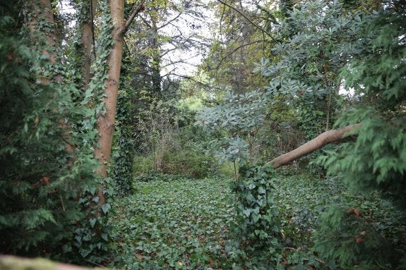 Aspecto del interior de la finca de La Torriente. 