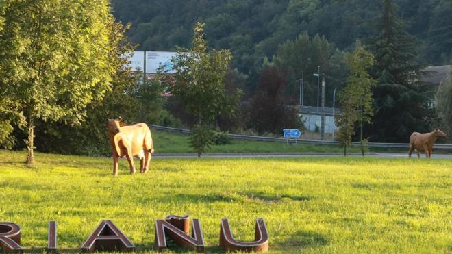 Rotonda en la que faltan tres de las cinco vacas.