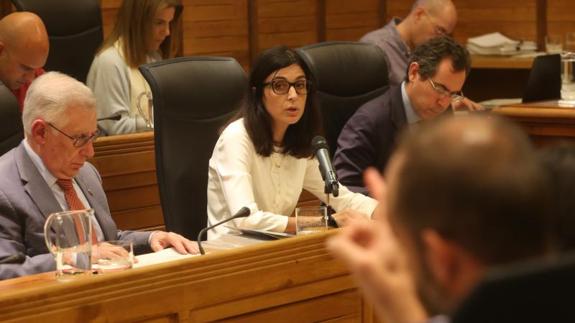 Ana Braña, durante su intervención en el Pleno de este miércoles.