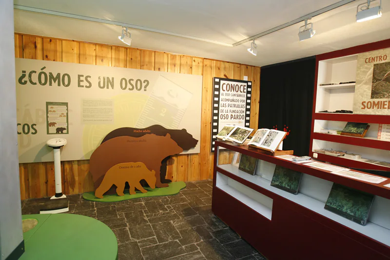 Centro de Interpretación de Somiedo y el oso