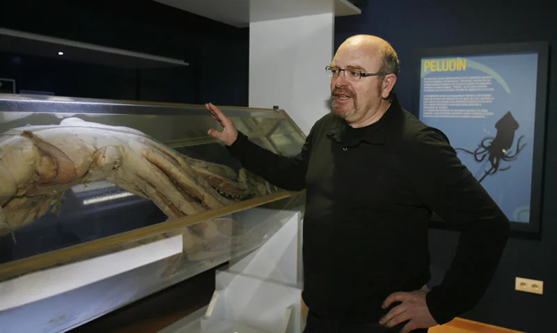 Museo del calamar gigante