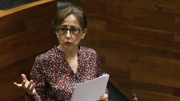 Belén Ferández, en una comparecencia en la Junta General.