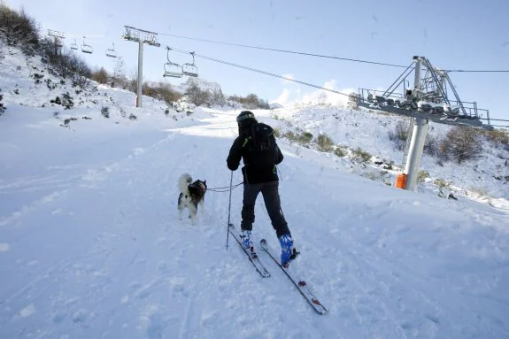 Un aficionado al esquí de fondo, en Fuentes de Invierno. 