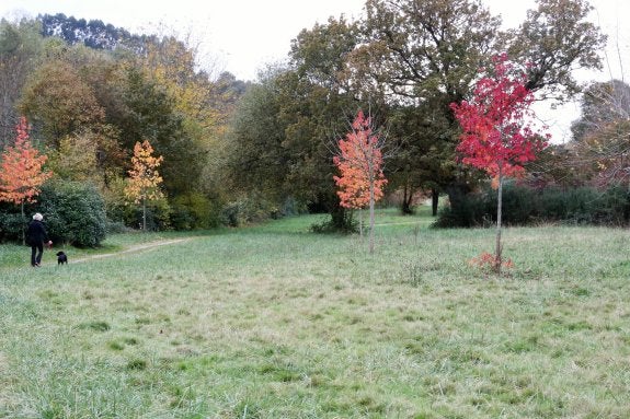 El estado actual del parque periurbano de Pola de Siero, que lleva paralizado desde la primavera de 2011. 