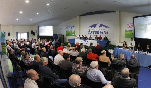 Un momento de las votaciones de los socios compromisarios de Central Lechera Asturiana en las instalaciones de la sociedad. 