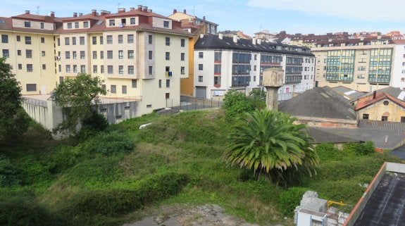 La abundante maleza oculta la suciedad que se acumula en la finca desde el cierre de la fábrica.