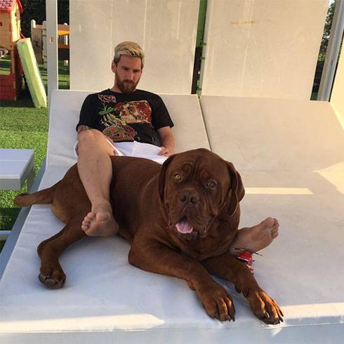 Messi con su perro. 
