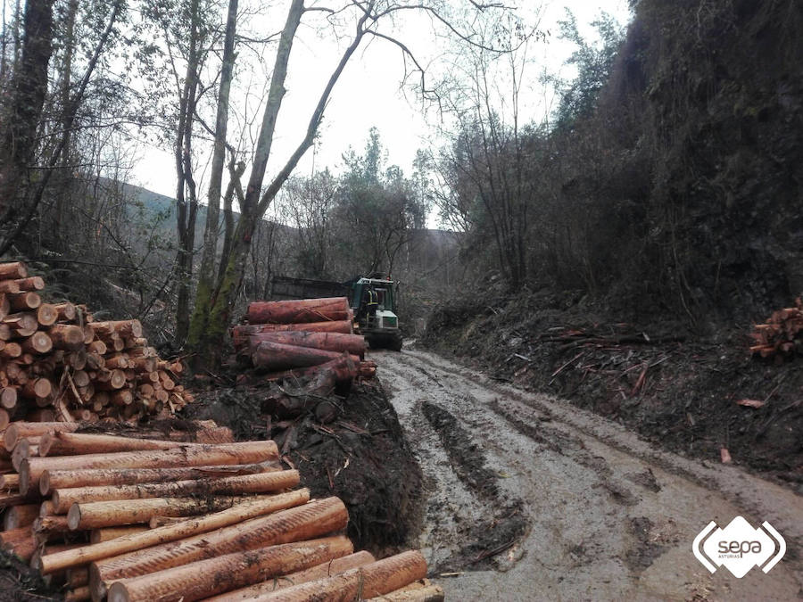 El lugar del accidente.