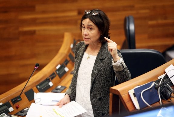 Dolores Carcedo, ayer, en el pleno de la Junta General. 