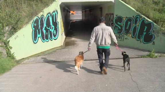 Parque de Nuevo Roces donde se produjo la agresión