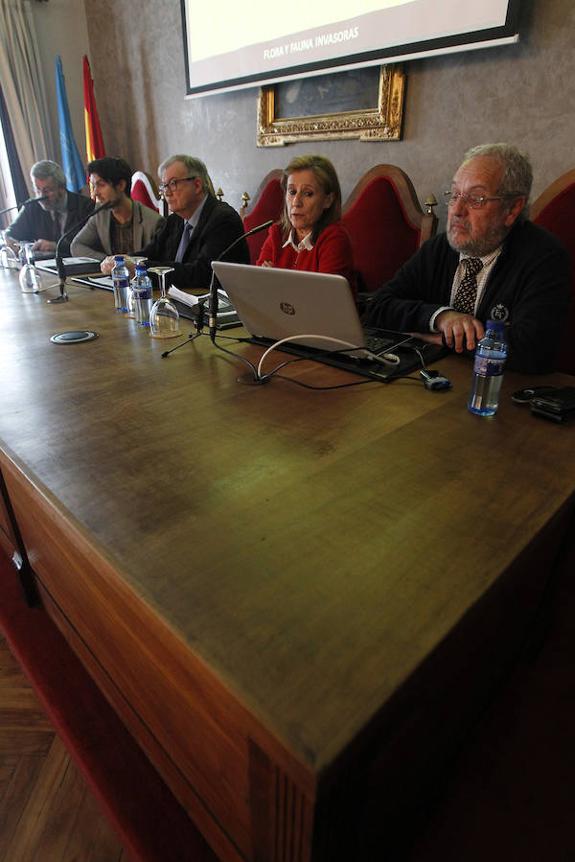 Carlos Nores, Andrés Arias, Tomás Díaz, Teresa Sánchez y Víctor Manuel Vazquez, en la mesa redonda del RIDEA. 